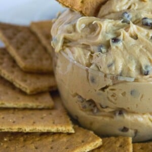 chocolate and peanut butter candy transformed into a smooth and creamy dip!