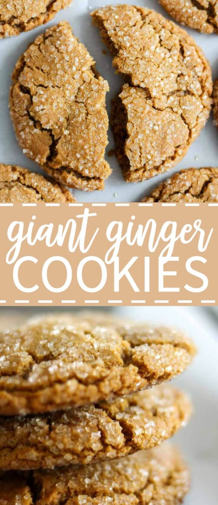 Giant Ginger Cookies - What Molly Made