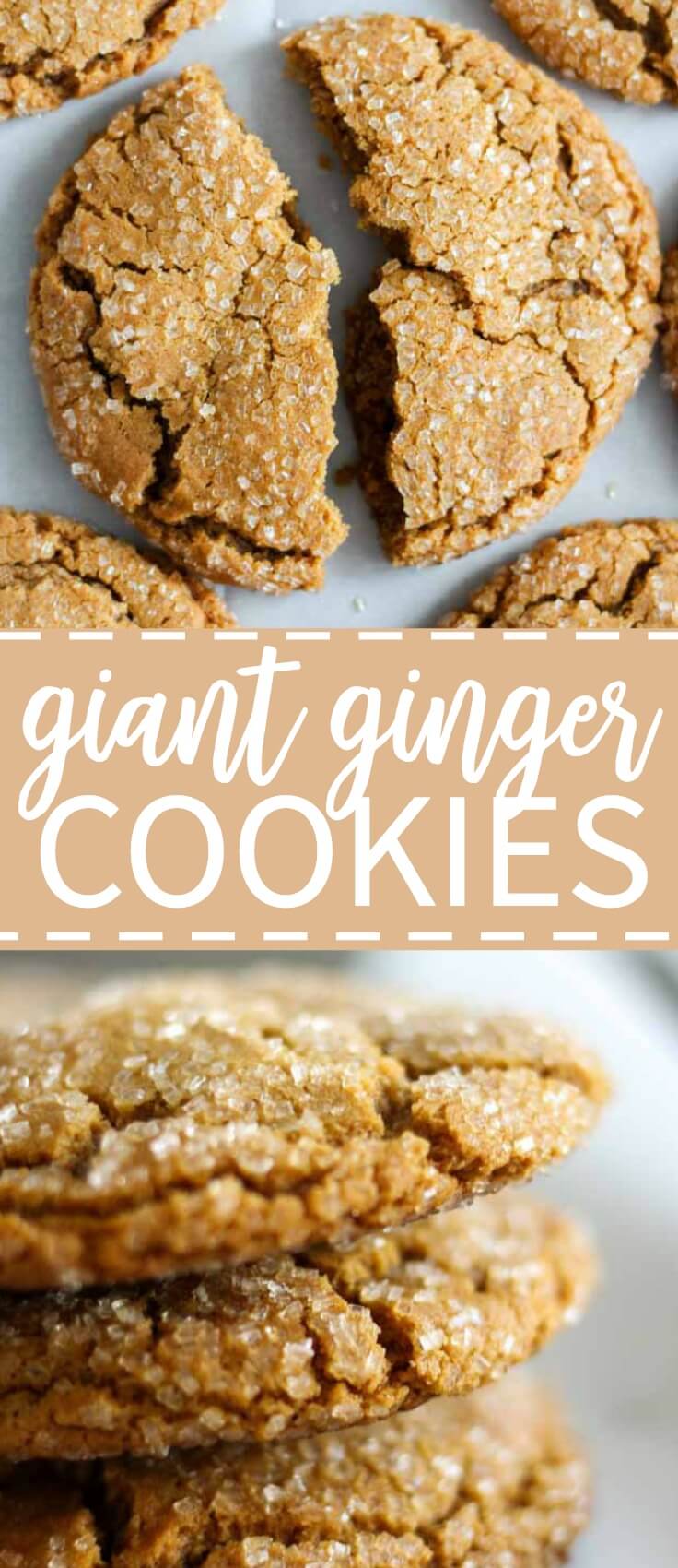 Giant ginger cookies and a sprinkling of sugar make the holidays go ground. Soft and chewy and as big as your hand and filled with molasses, ginger and cinnamon. 