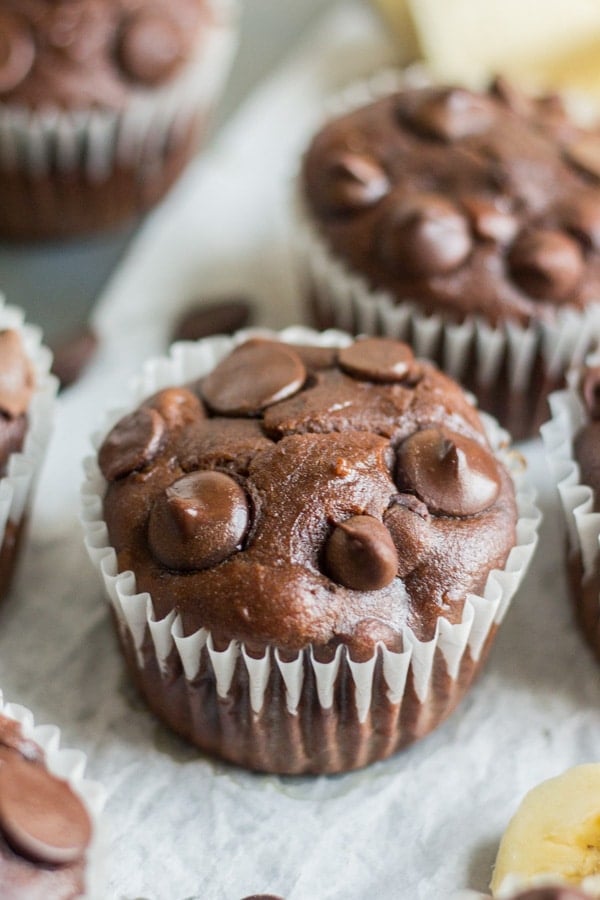 Healthy chocolate banana blender muffins! This muffin recipe is easy to make and gluten free. Mix the dry ingredients then blend all of the wet ingredients together. Fold in chocolate chips and bake until melted and gooey. They're also made with coconut oil and greek yogurt. They're the perfect magical chocolate muffin and so guilt free.