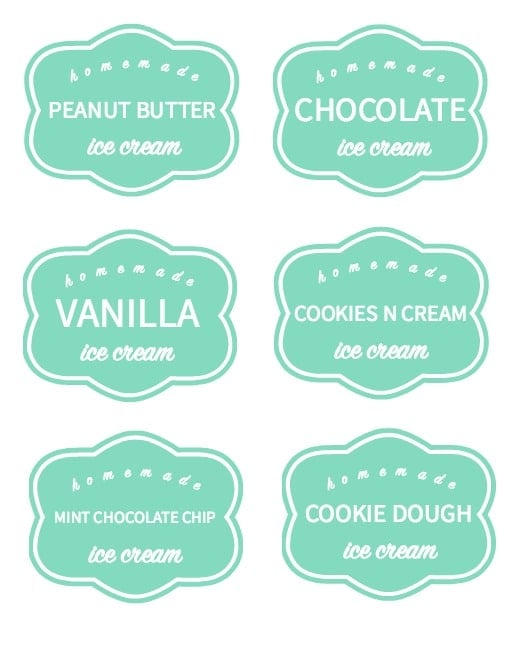 homemade ice cream labels specified with the type of ice cream