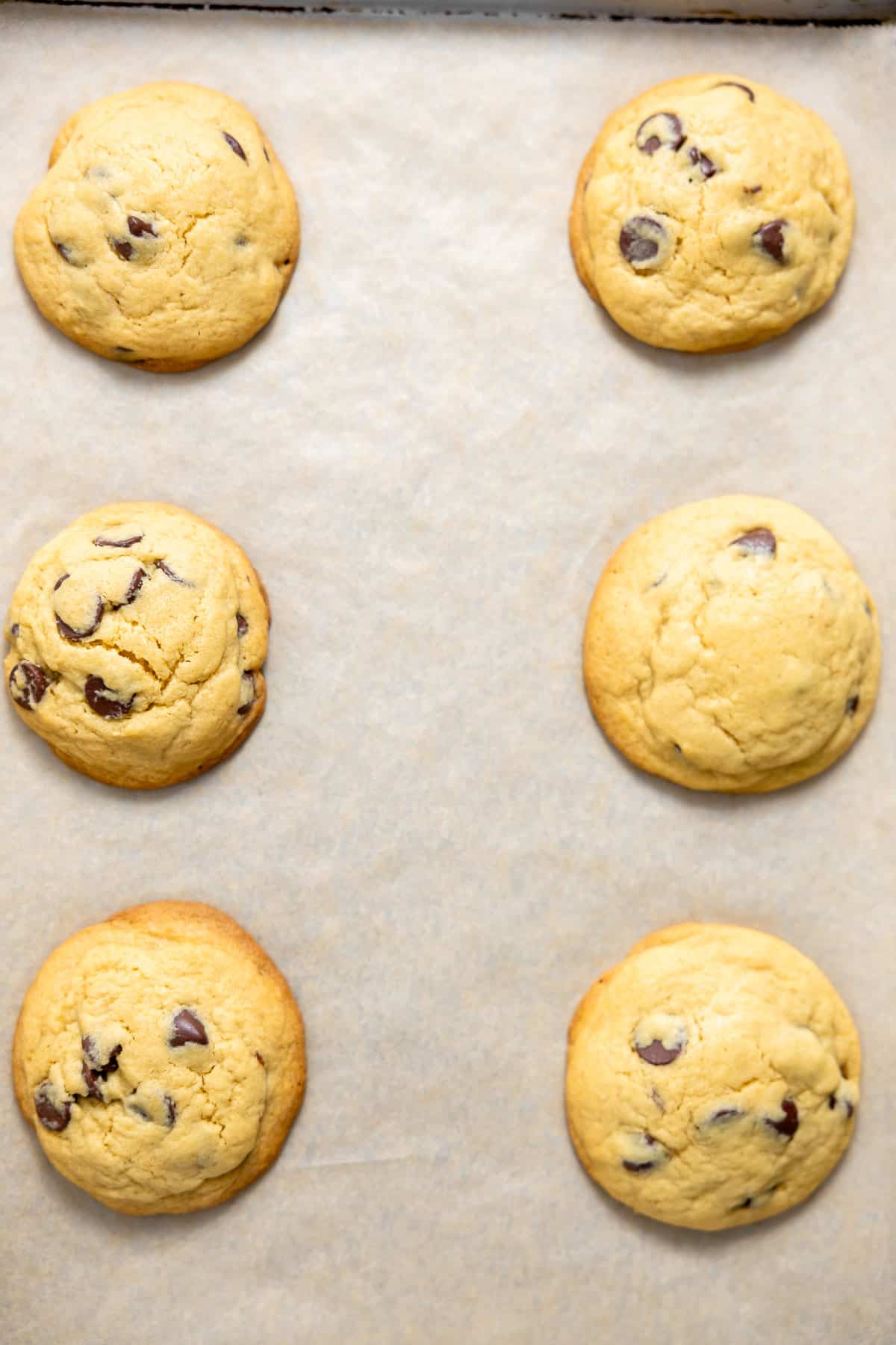 fresh baked chocolate chip cookies cooling on a baking sheet.