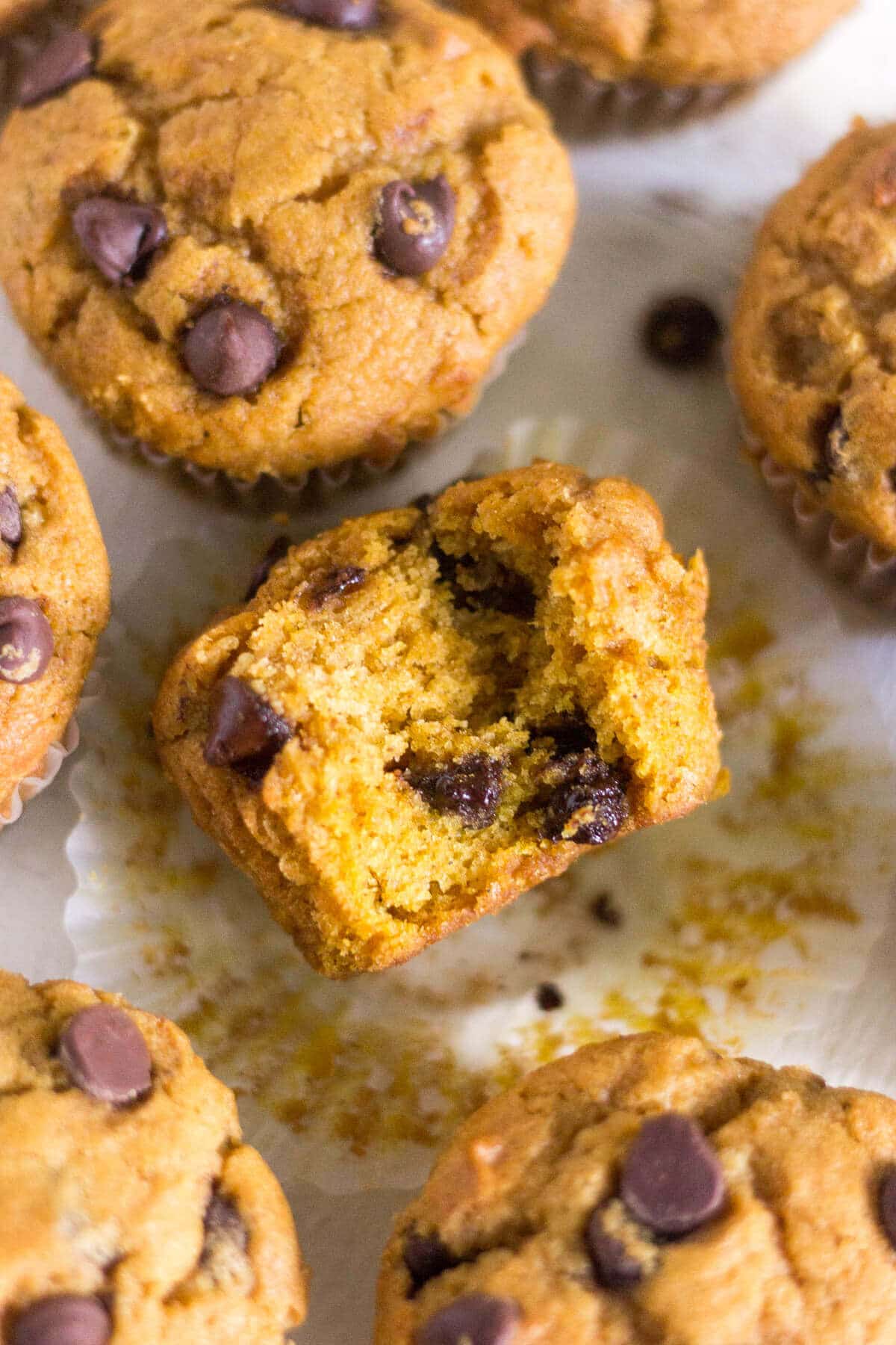 a gluten free chocolate chip pumpkin muffin with a bite taken out laying on its side