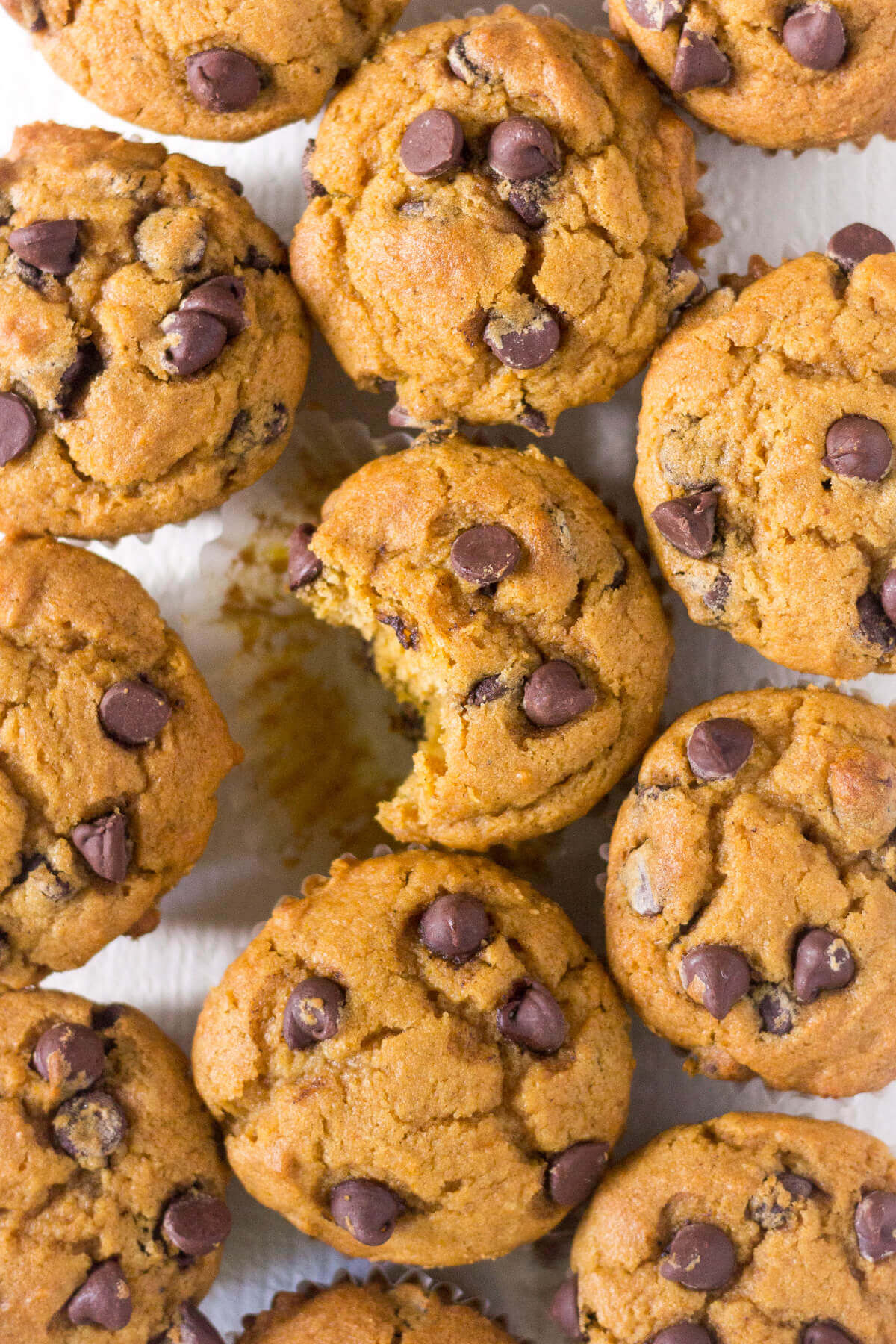 gluten free pumpkin muffins with chocolate chips on top