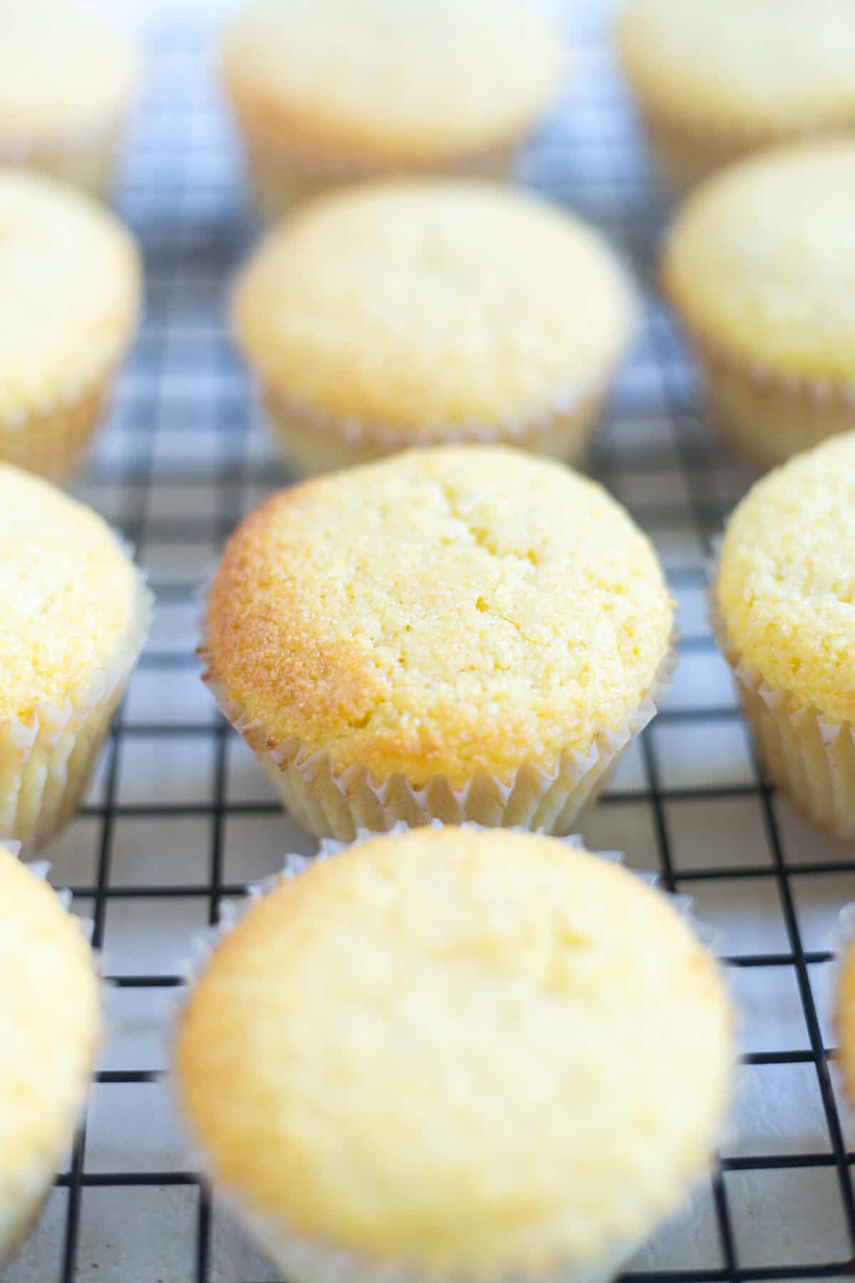 easy sweet cornbread muffins