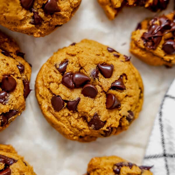 freshly baked pumpkin pudding cookies with chocolate chips on a piece of parchment paper.