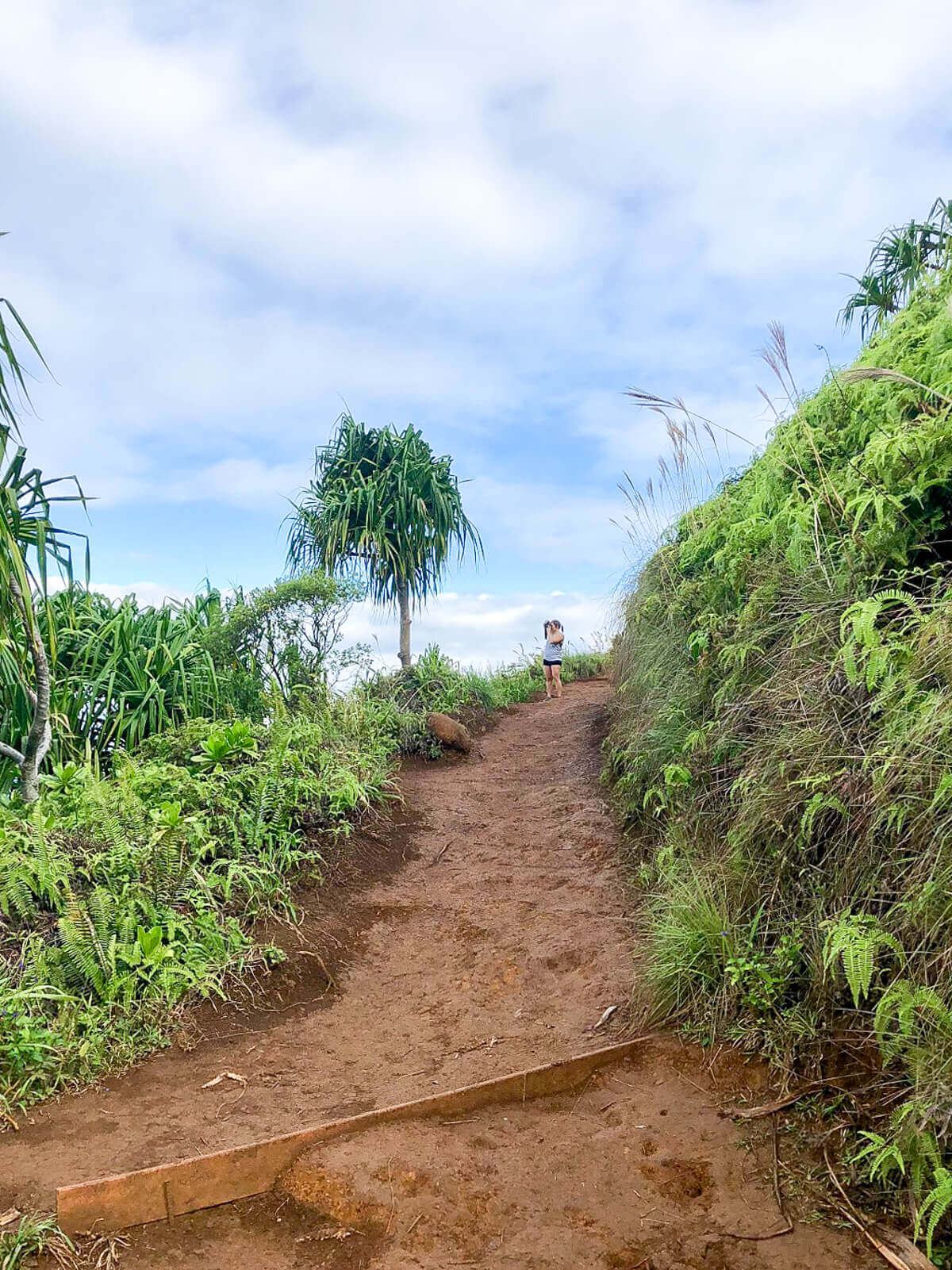 things to do in kauai