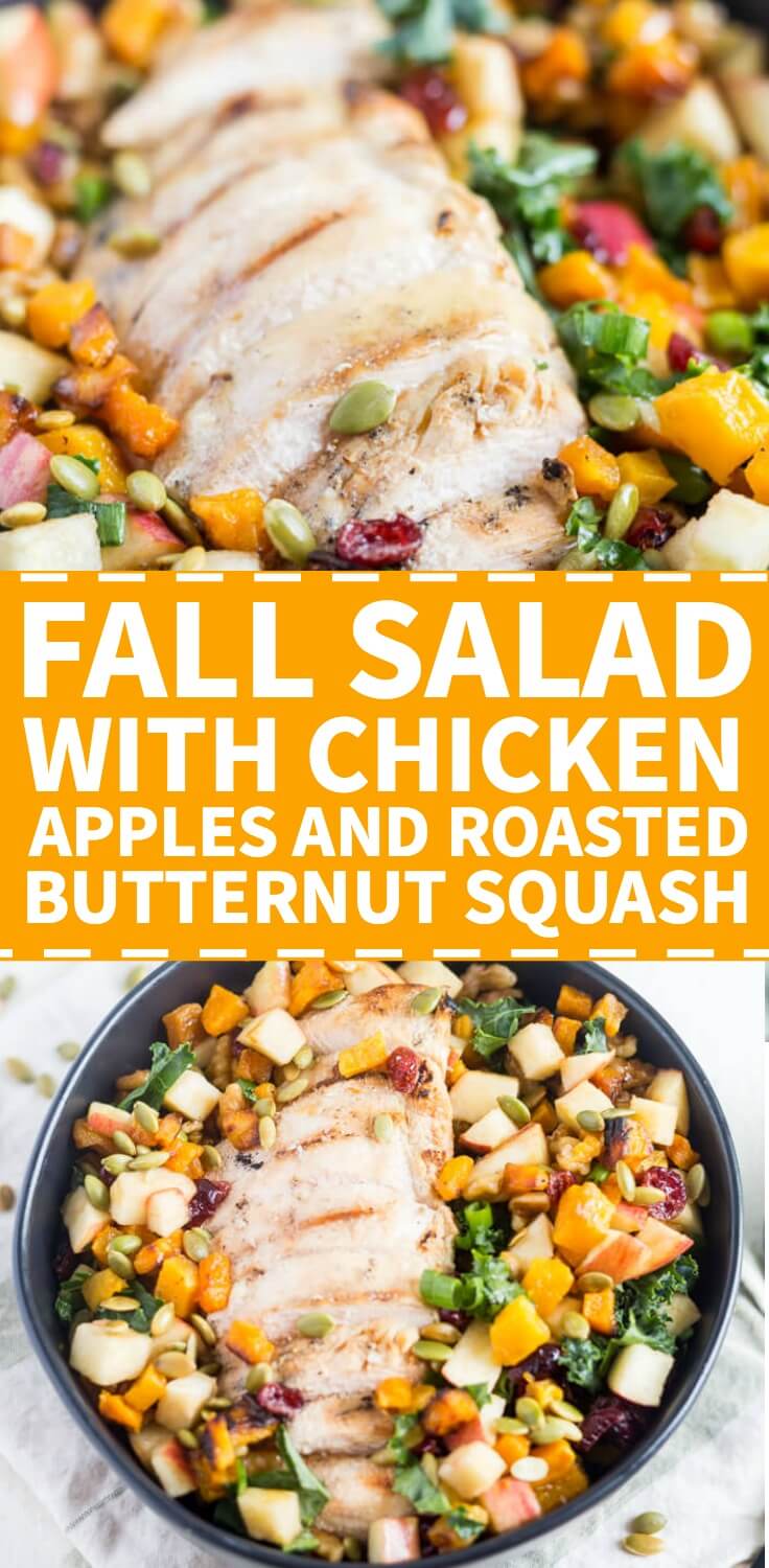 fall salad with chicken