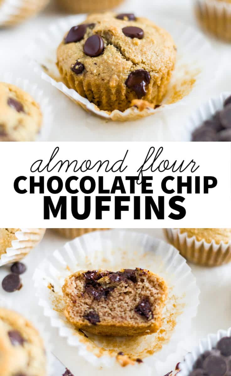almond flour chocolate chip muffins