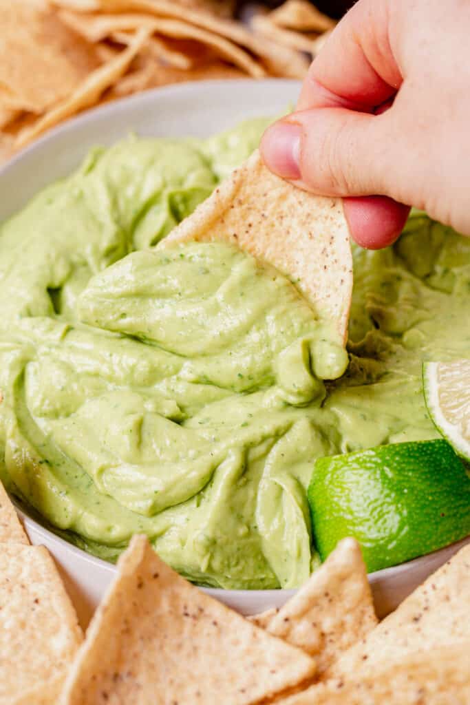 Creamy Avocado Dip | What Molly Made