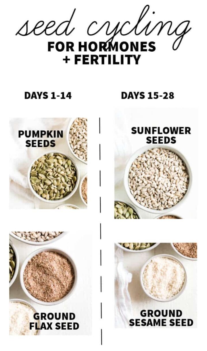 Seed Cycling for Hormones and Fertility What Molly Made