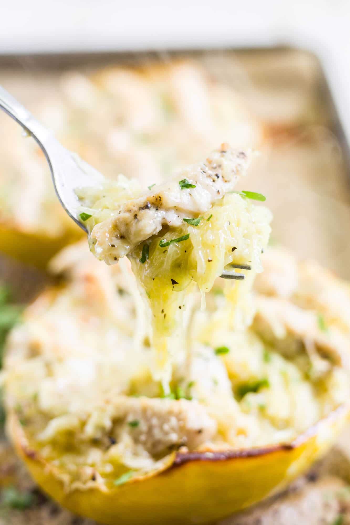 chicken alfredo stuffed spaghetti squash recipe