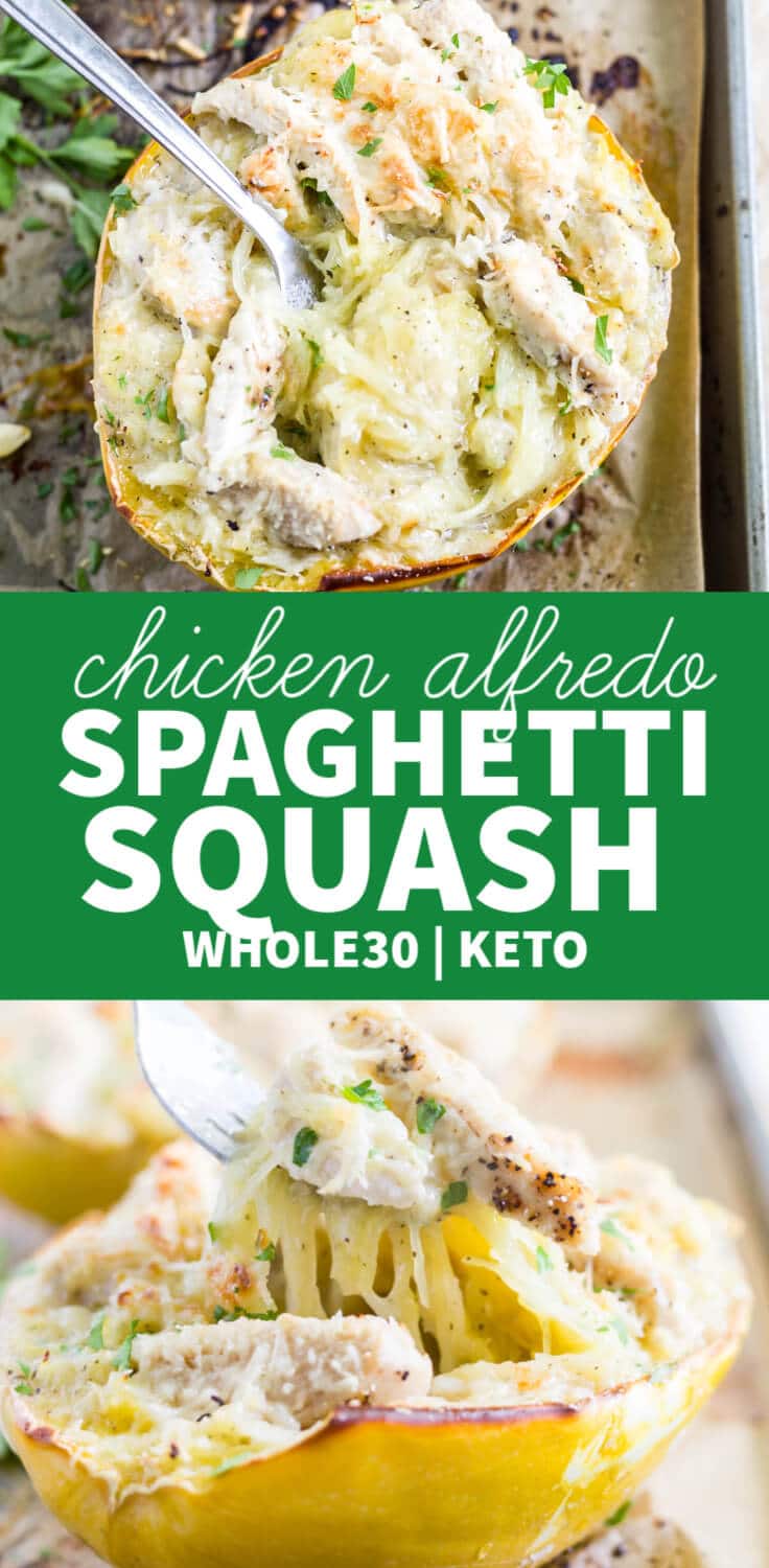 chicken alfredo stuffed spaghetti squash recipe