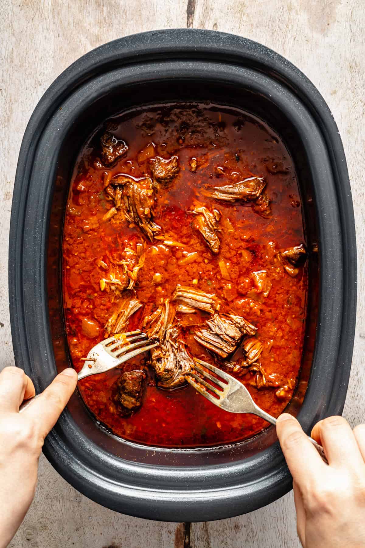 shredding chuck roast in beef ragu with forks.