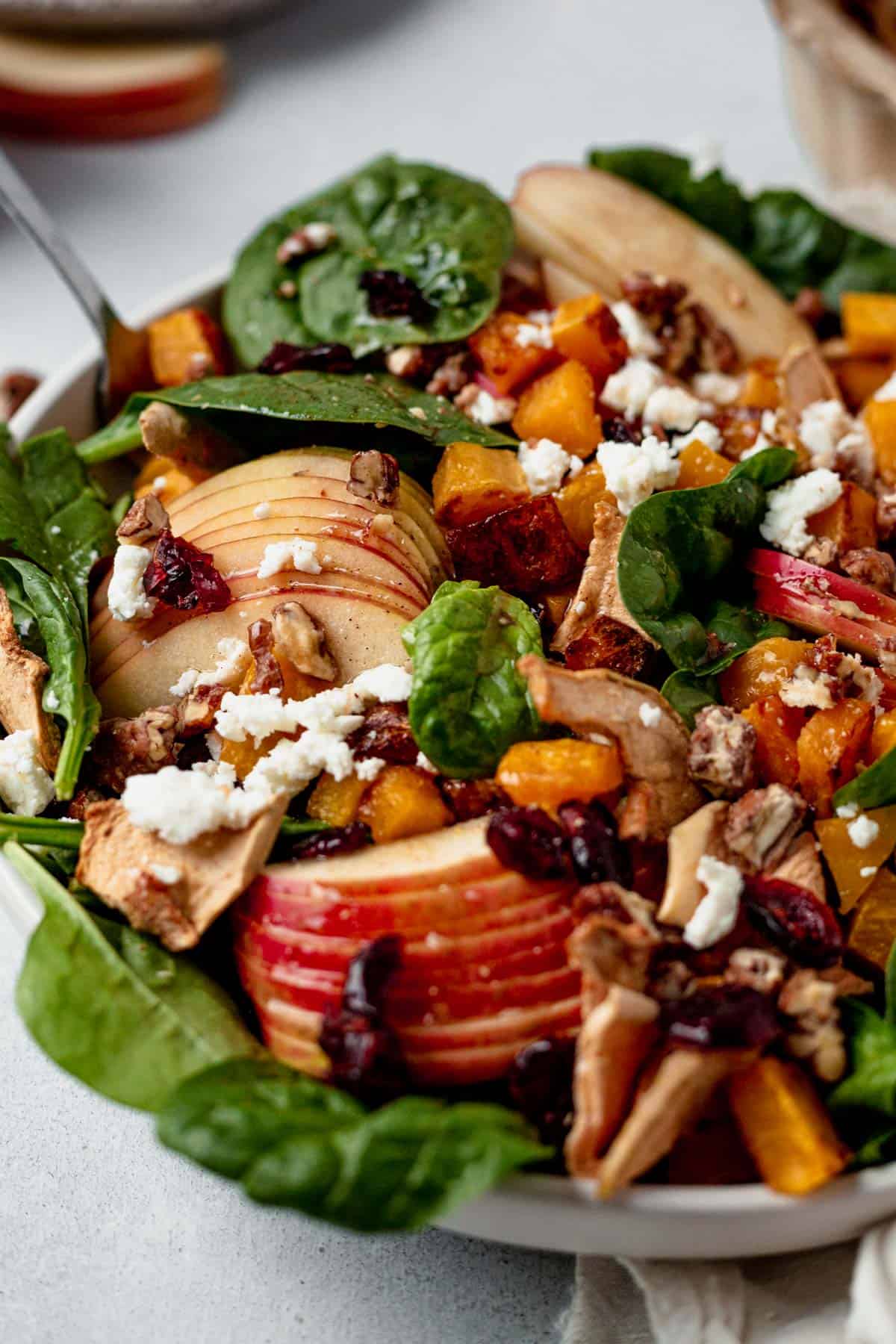 spinach salda with apples squash and cranberries