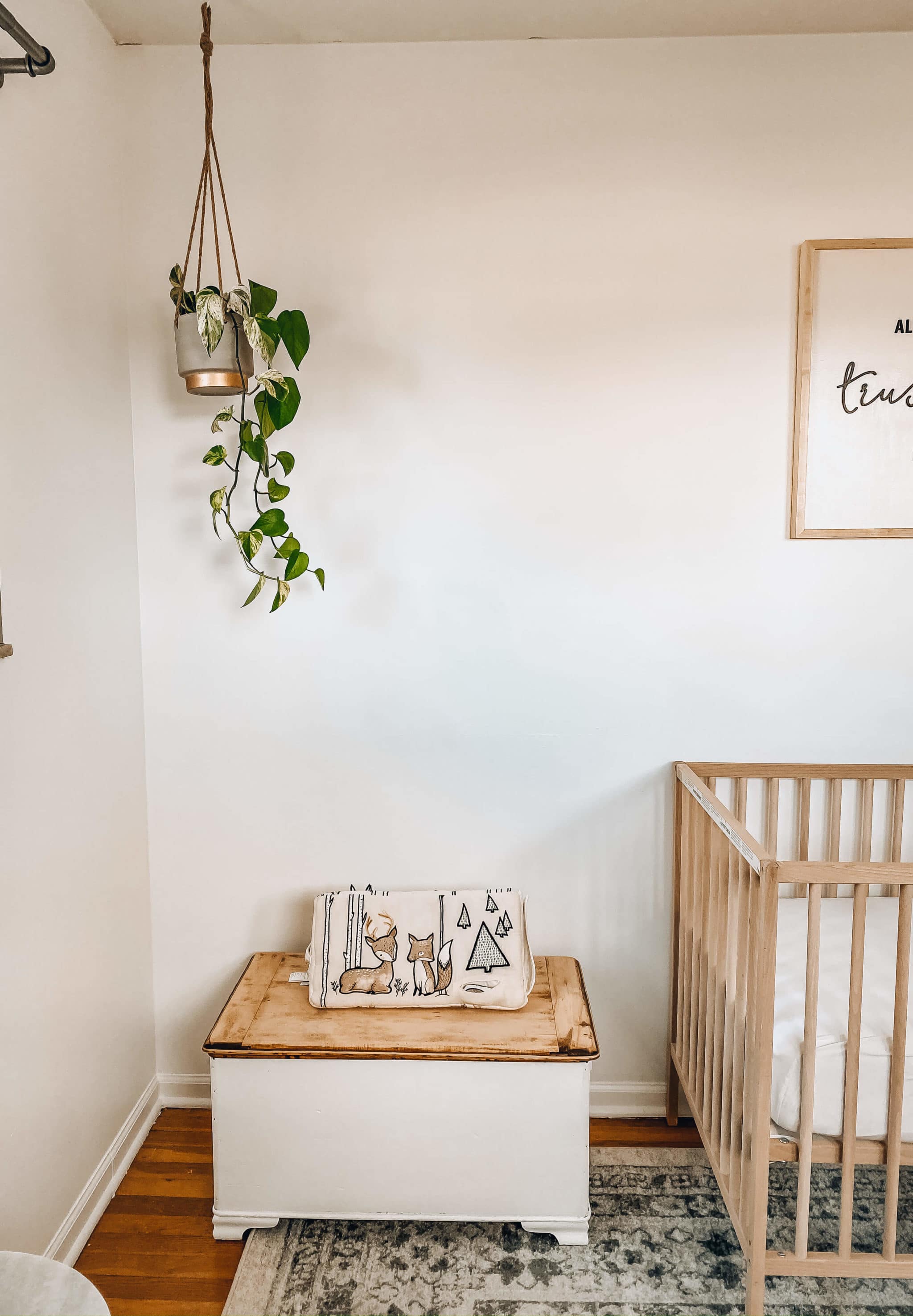 toy chest and hanging plant for neutral nursery