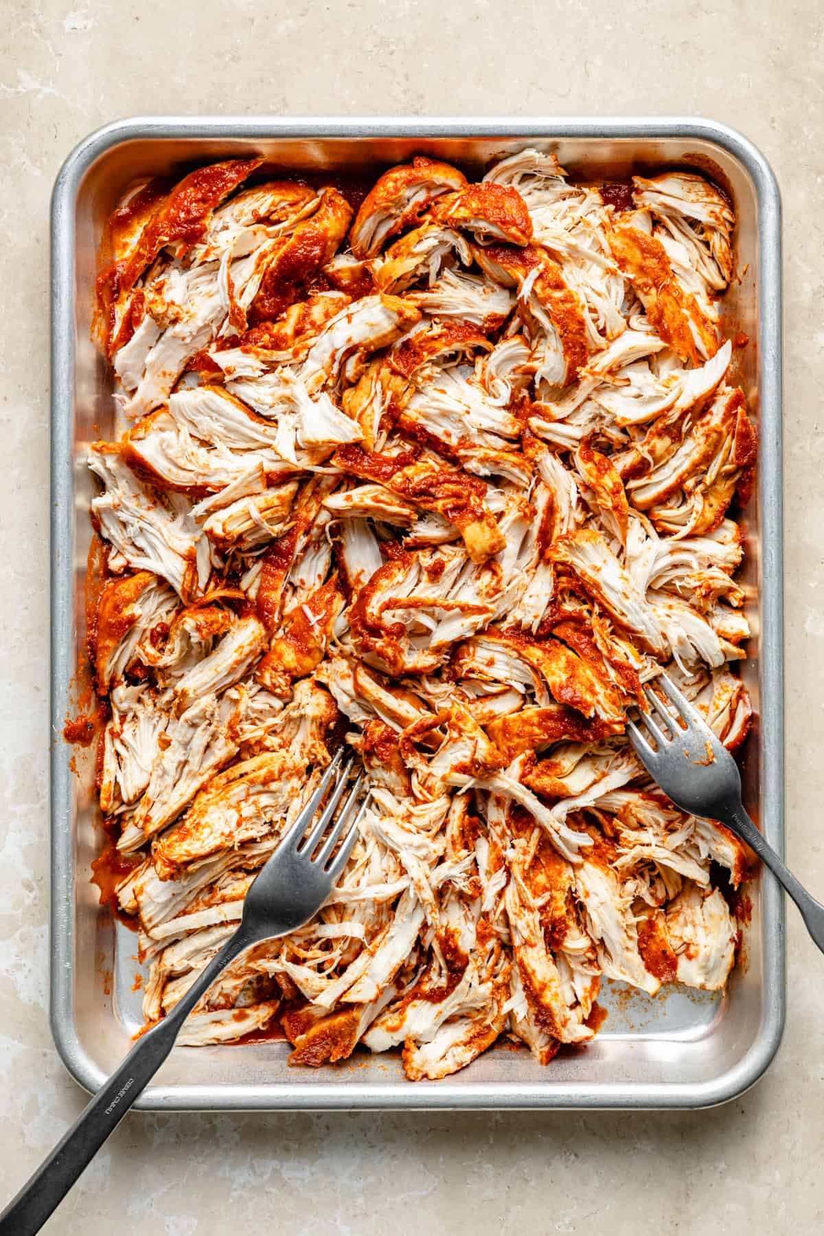 shredded bbq chicken breasts on a sheet pan with two forks.