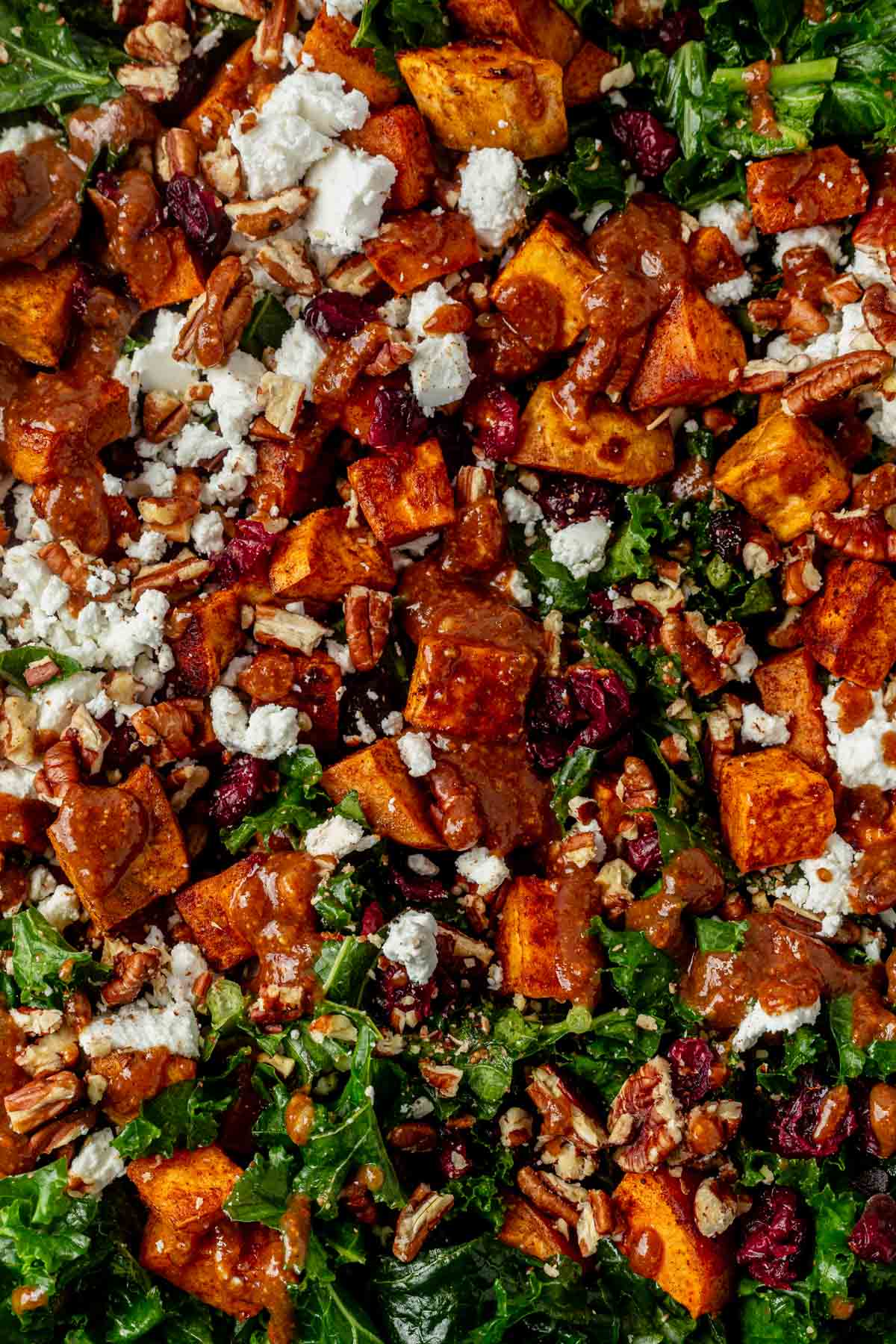 sweet potato kale salad drizzled with dressing.