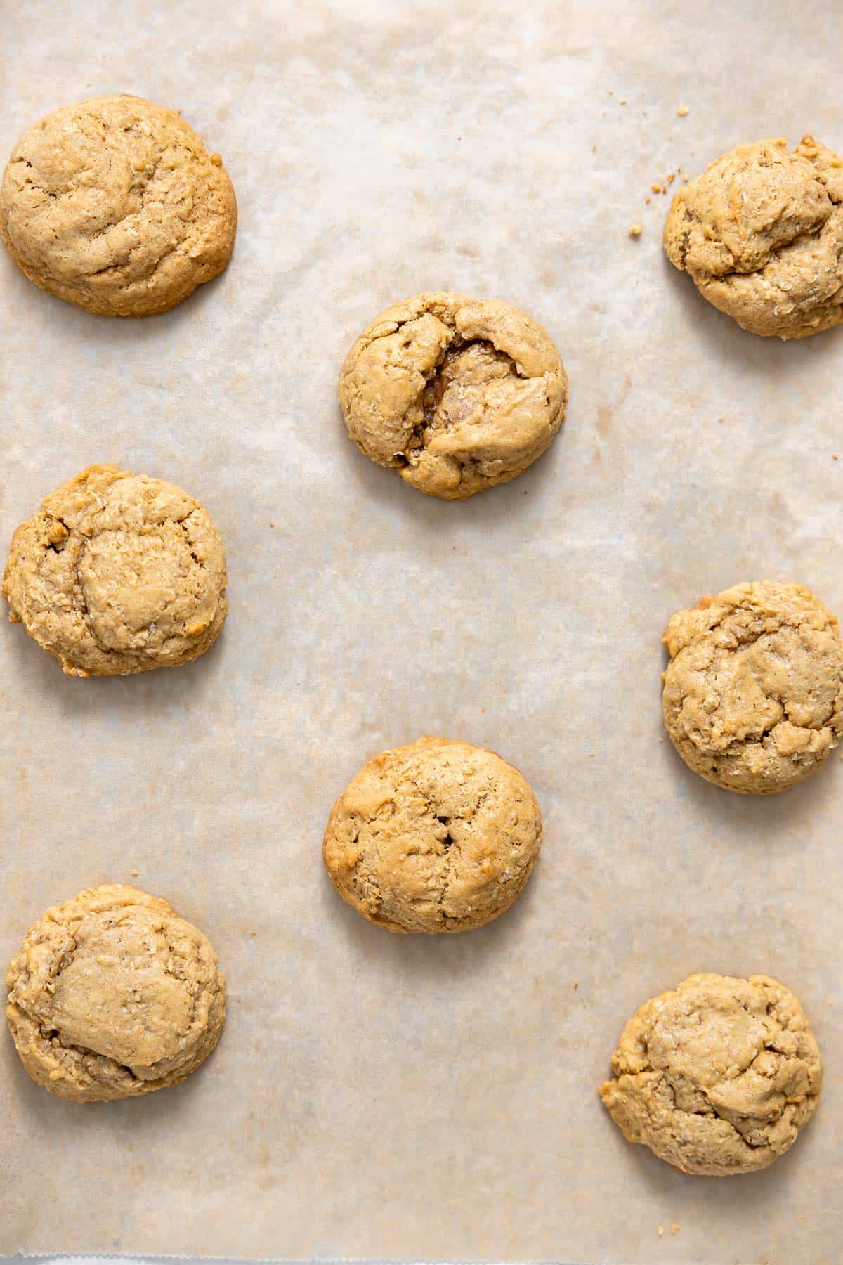 baked brown butter oatmeal cookies cooling on a cookie sheet.