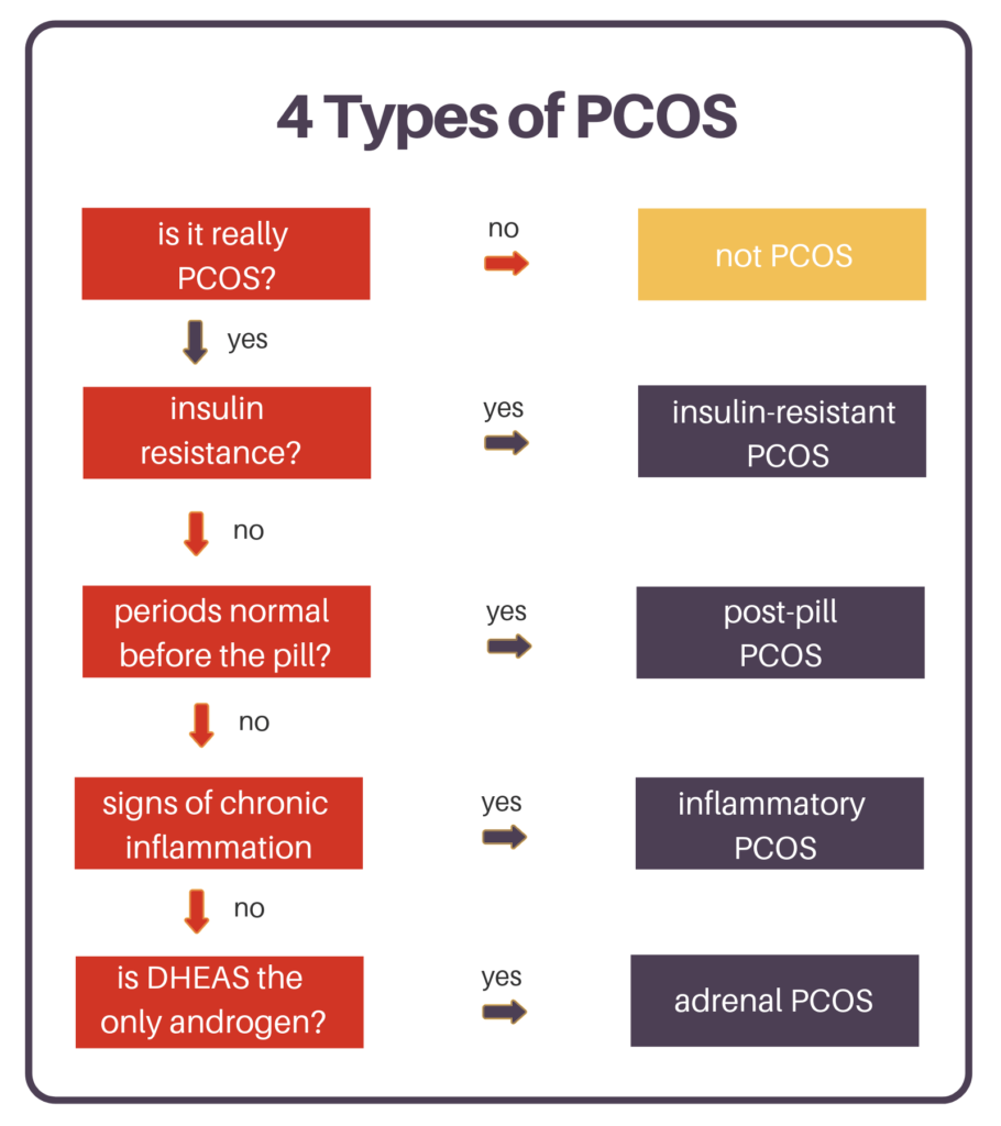 flow chart explaining the types of pcos and how to narrow down what you have