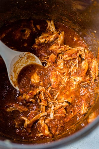 Instant Pot Chicken Tinga - What Molly Made