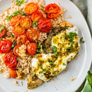 pesto chicken covered in melted mozzarella with a side of rice and roasted tomatoes