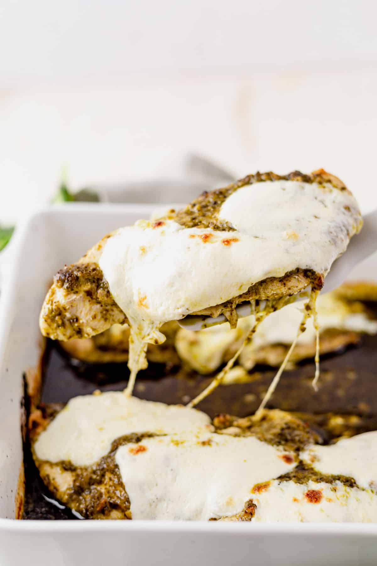 pulling a chicken breast out of a dish with pesto and mozzarella