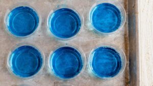 blue jello shots arranged on a sheet pan