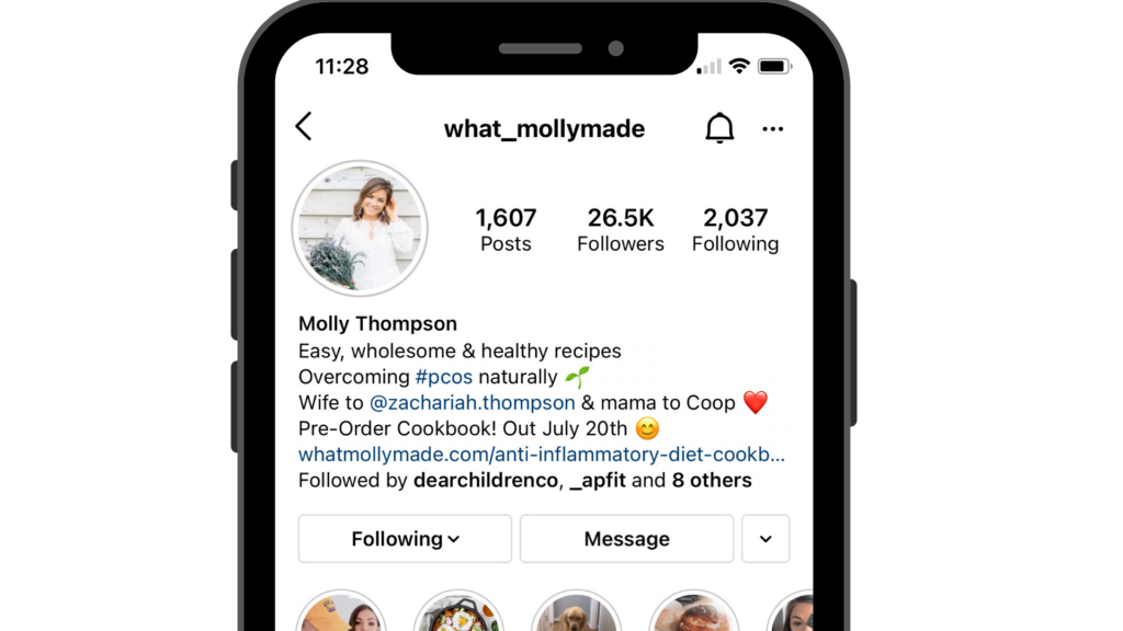iphone image showing whatmollymade instagram profile