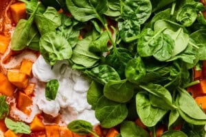 stirring coconut milk and spinach into sweet potato curry.