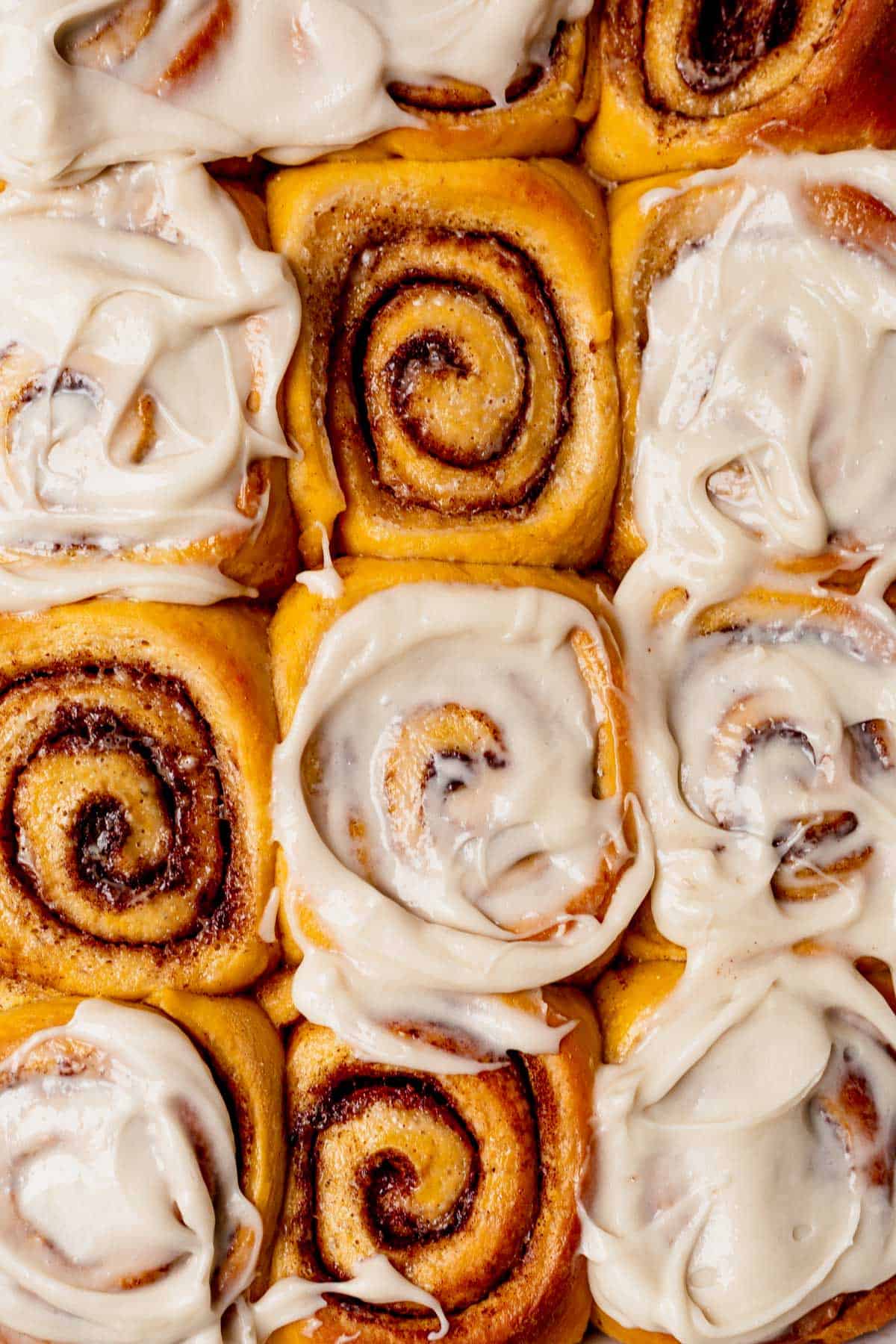 12 pumpkin cinnamon rolls with cream cheese frosting in a 9x13 pan