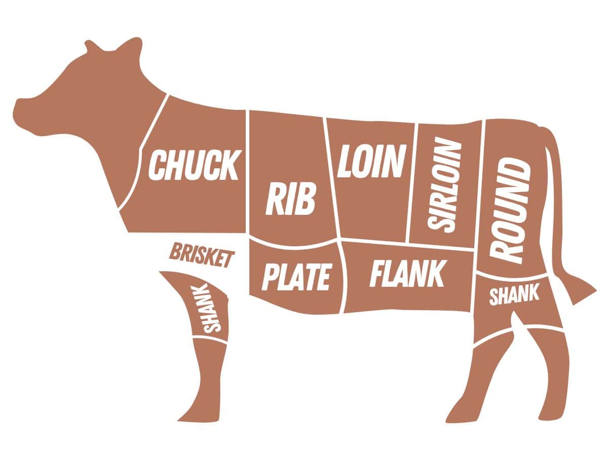 cuts of beef graphic with the brisket highlighted