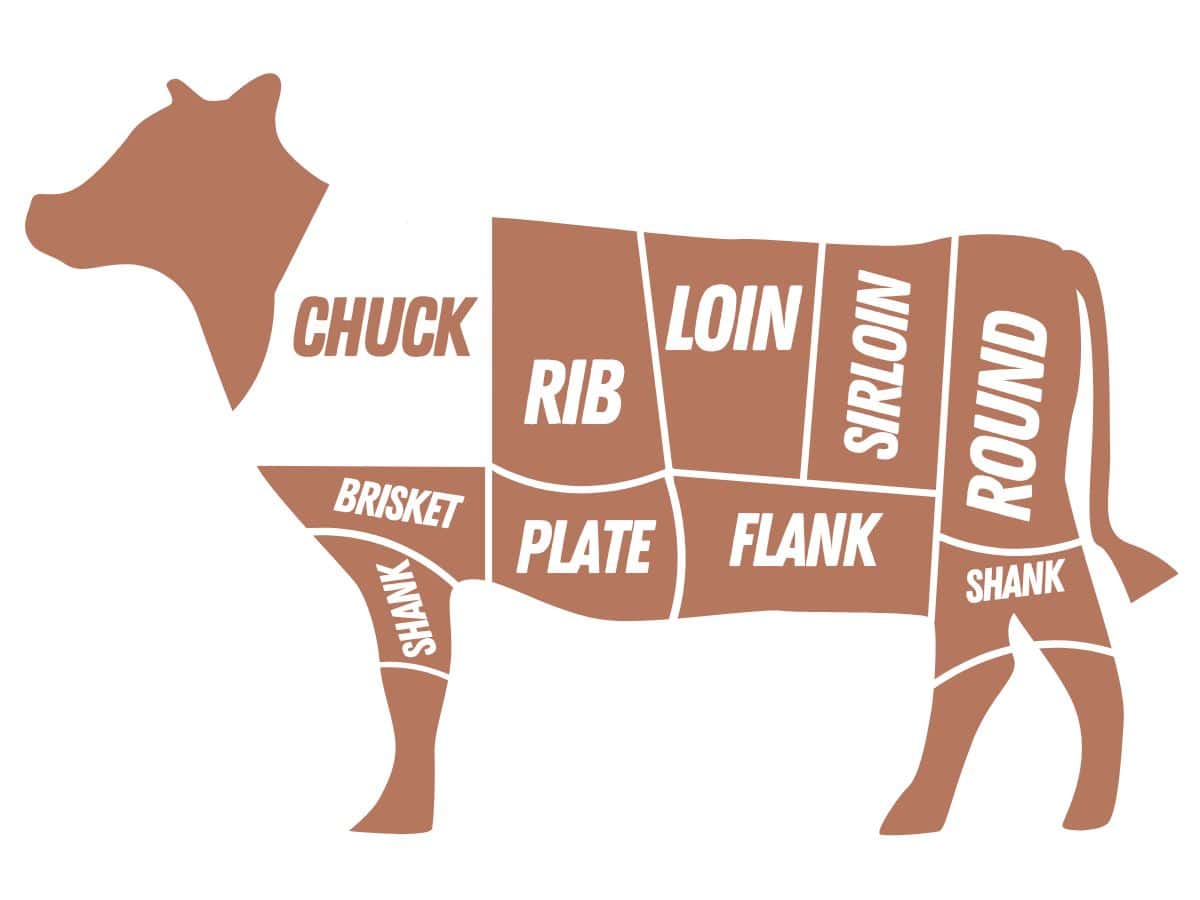 cuts of beef graphic with the chuck highlighted
