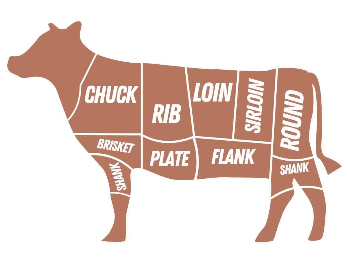 graphic of the primal cuts of beef
