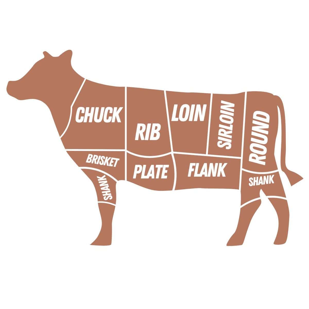 Guide to Different Cuts of Beef - What Molly Made