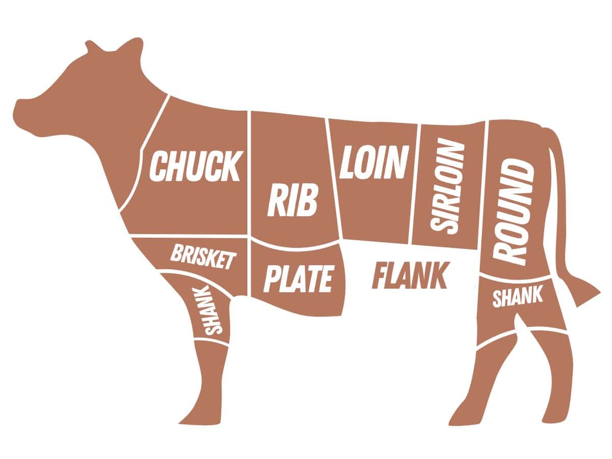 cuts of beef graphic with the flank highlighted