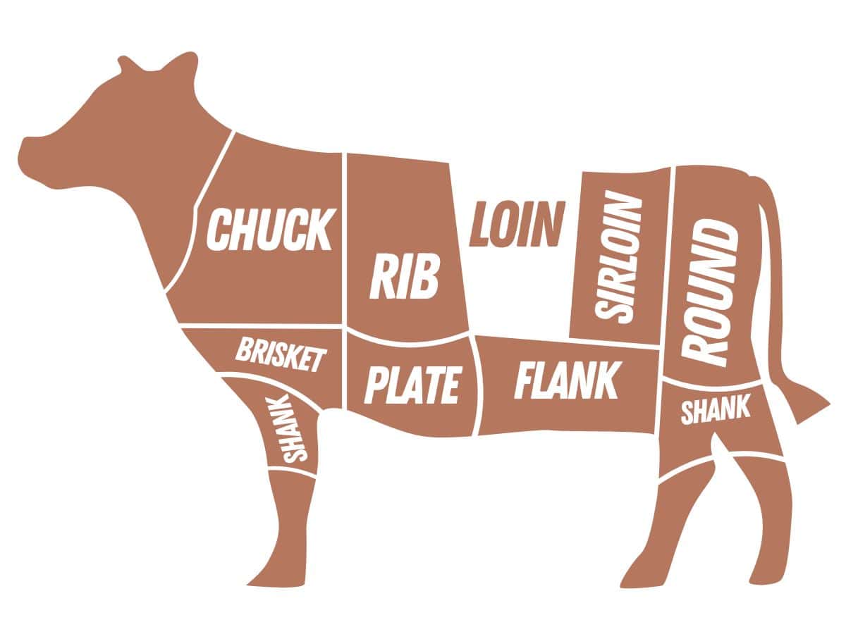 cuts of beef graphic with the loin highlighted