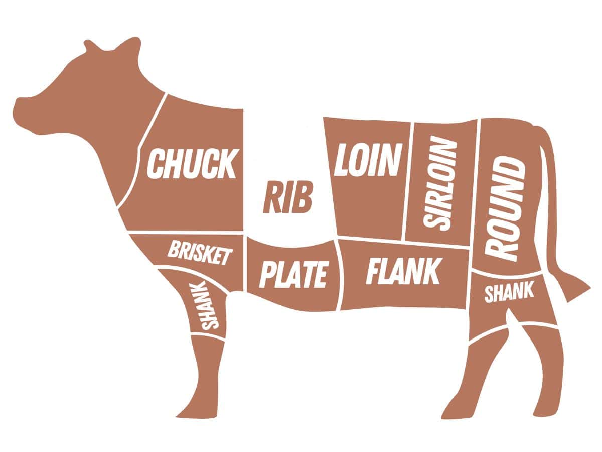 cuts of beef graphic with the rib highlighted