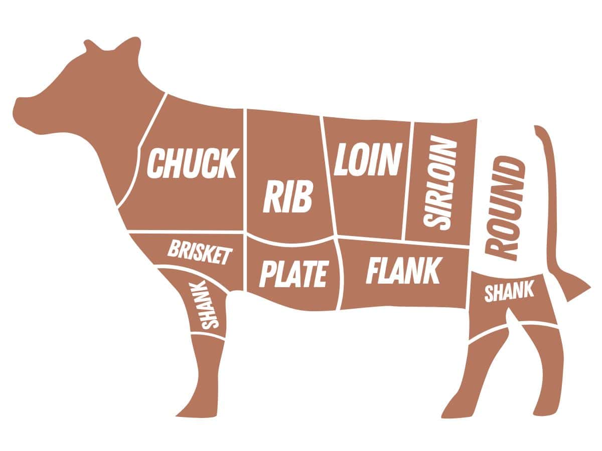 cuts of beef graphic with the round primal highlighted