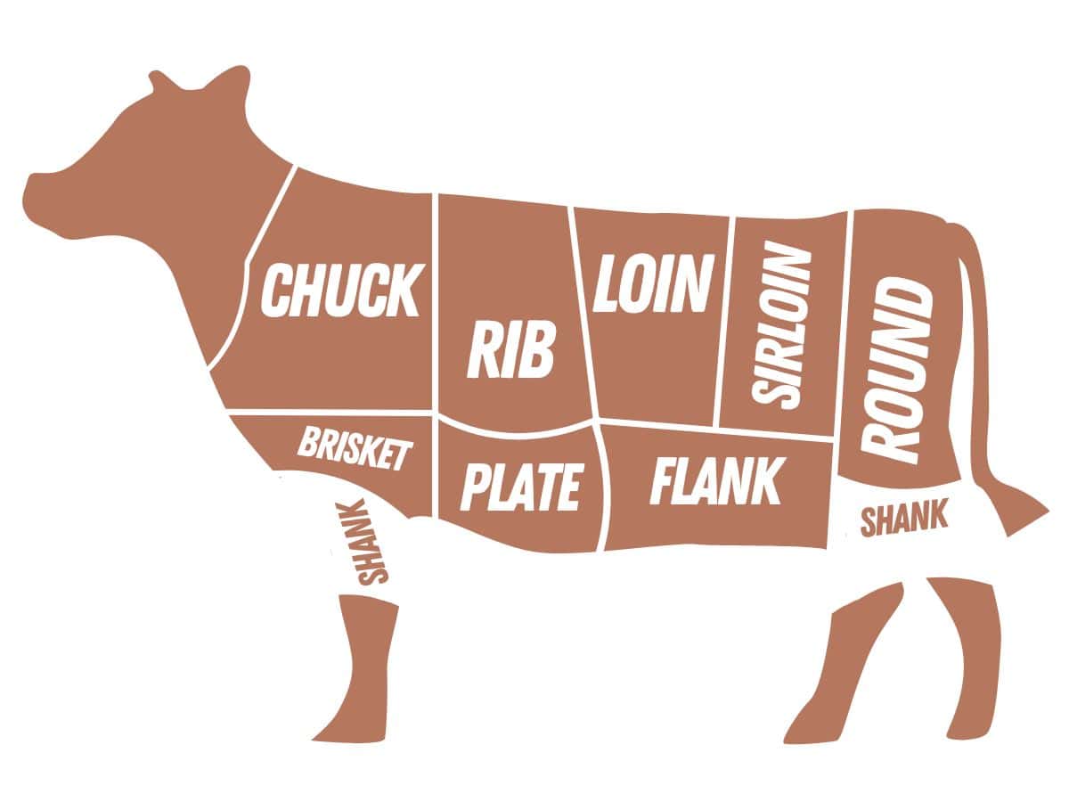 cuts of beef graphic with the shank highlighted