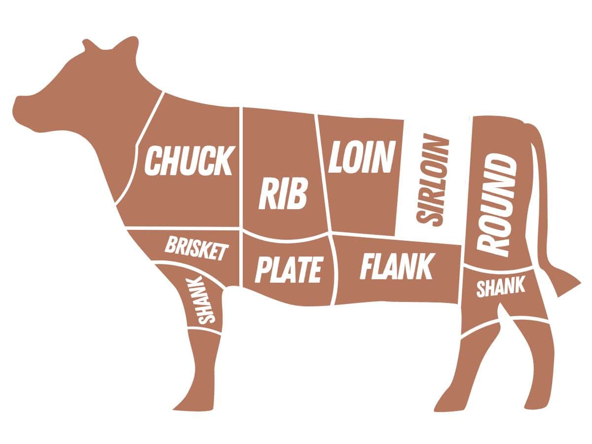 cuts of beef graphic with the sirloin highlighted