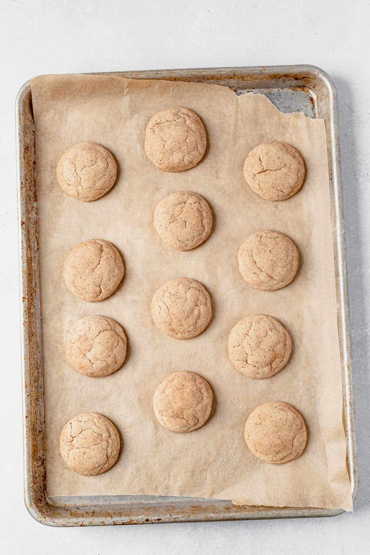 fresh baked taylor swift chai cookies cooling on a baking sheet.