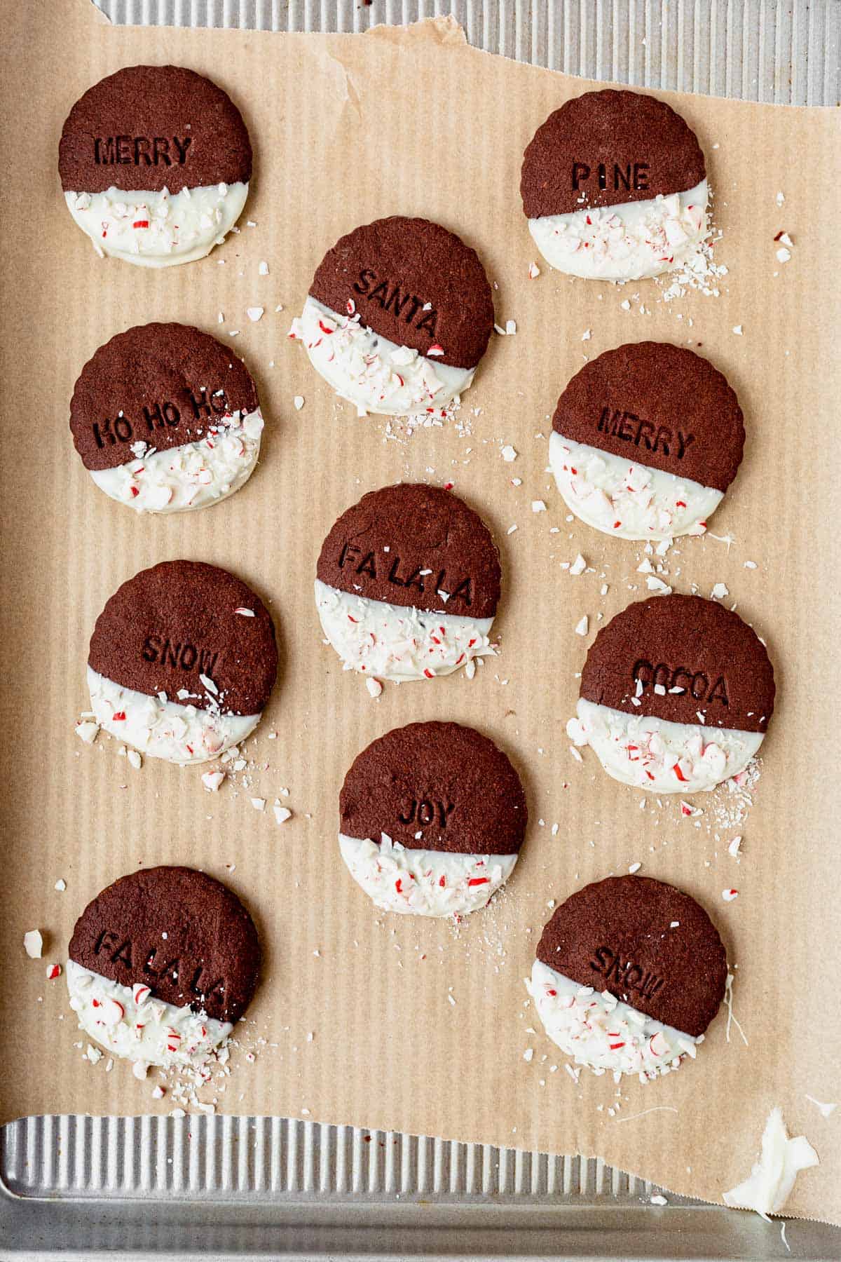 chocolate shortbread cookies with white chocolate on a cookie sheet