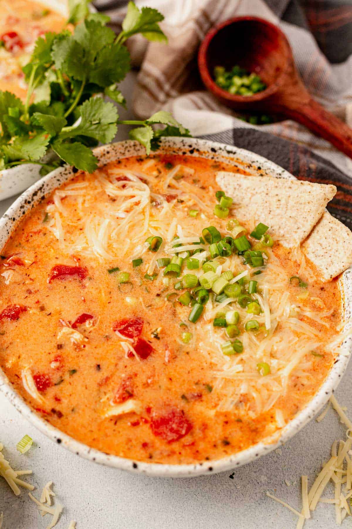 a bowl of buffalo chicken chili topped with tortilla chips.