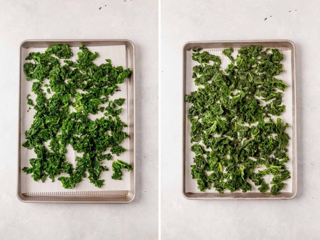 How to Freeze Kale What Molly Made