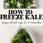 kale frozen on a cookie sheet and then kale in a freezer bag sitting on a counter