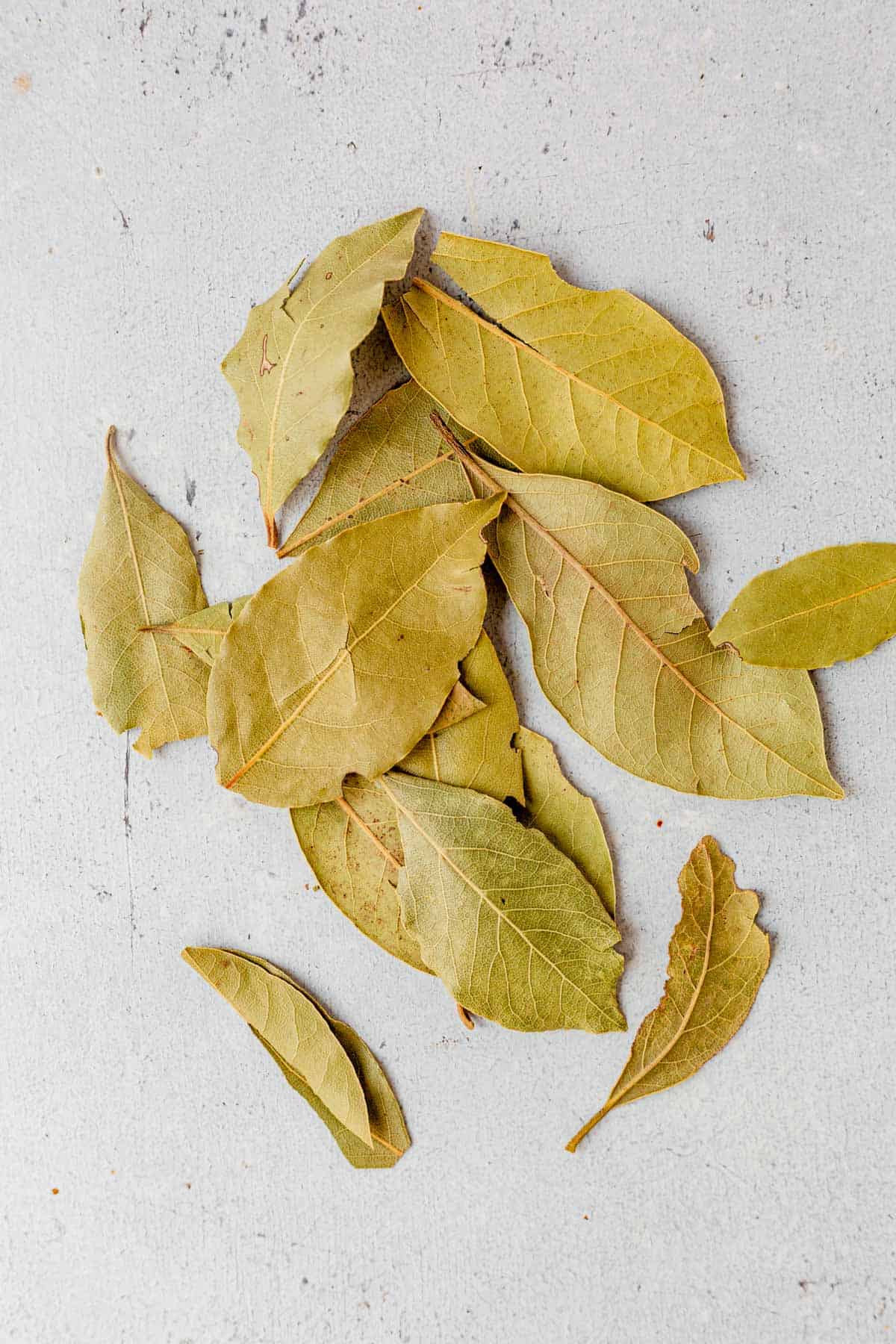 dried bay leaf on a countertop