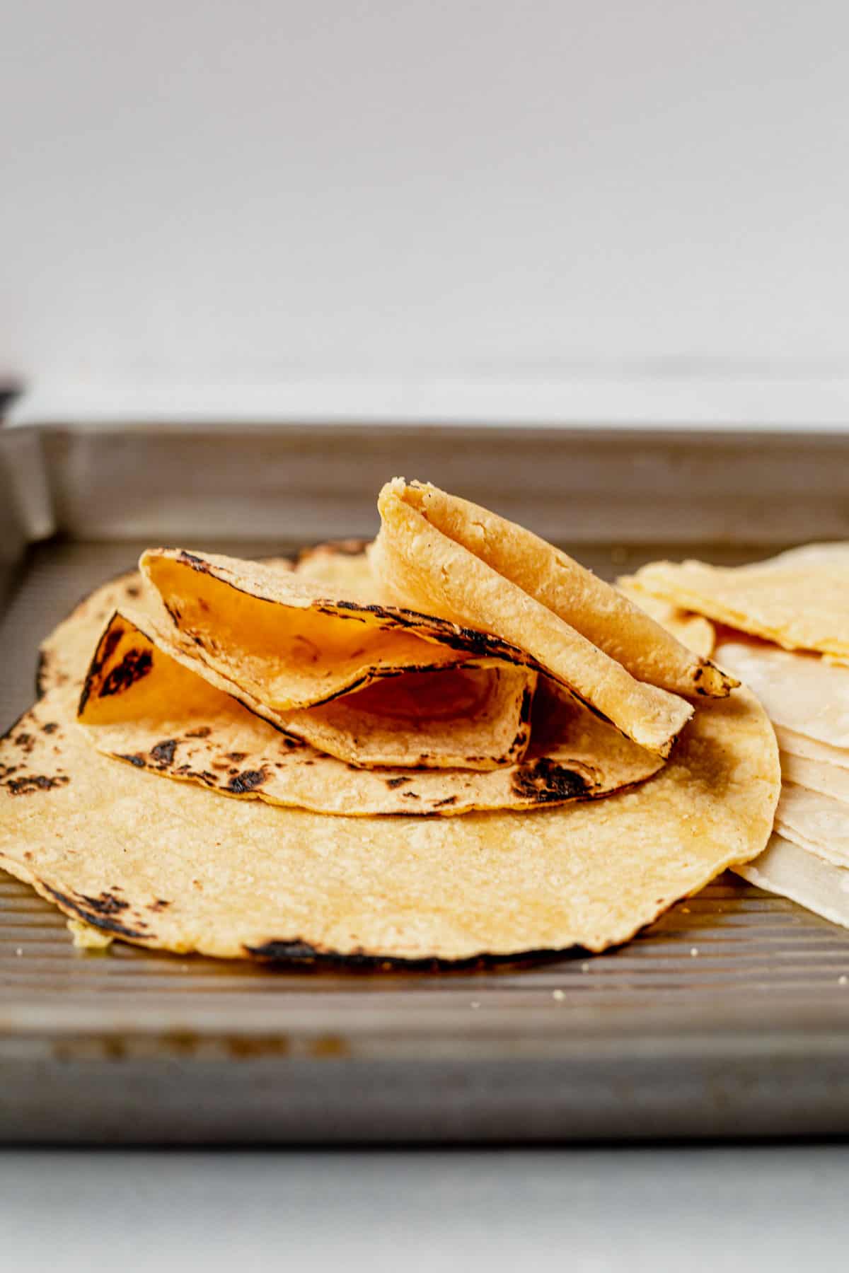 warmed tortillas folded in half