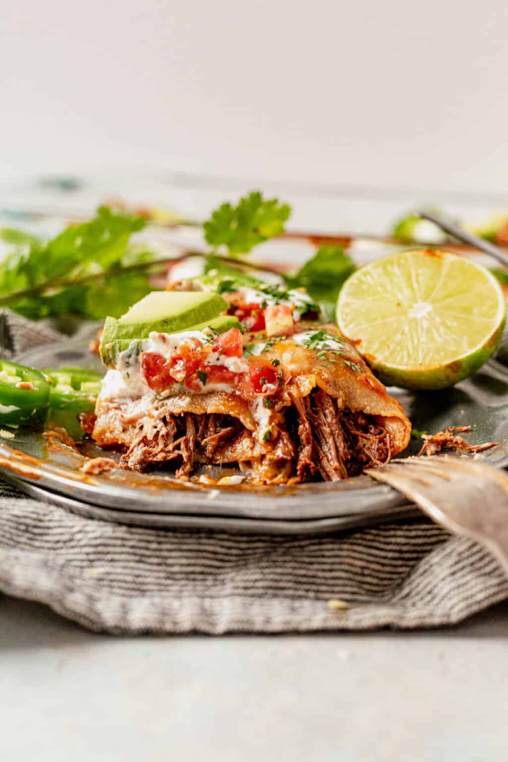 Best Mexican Shredded Beef Recipe (Easy!)