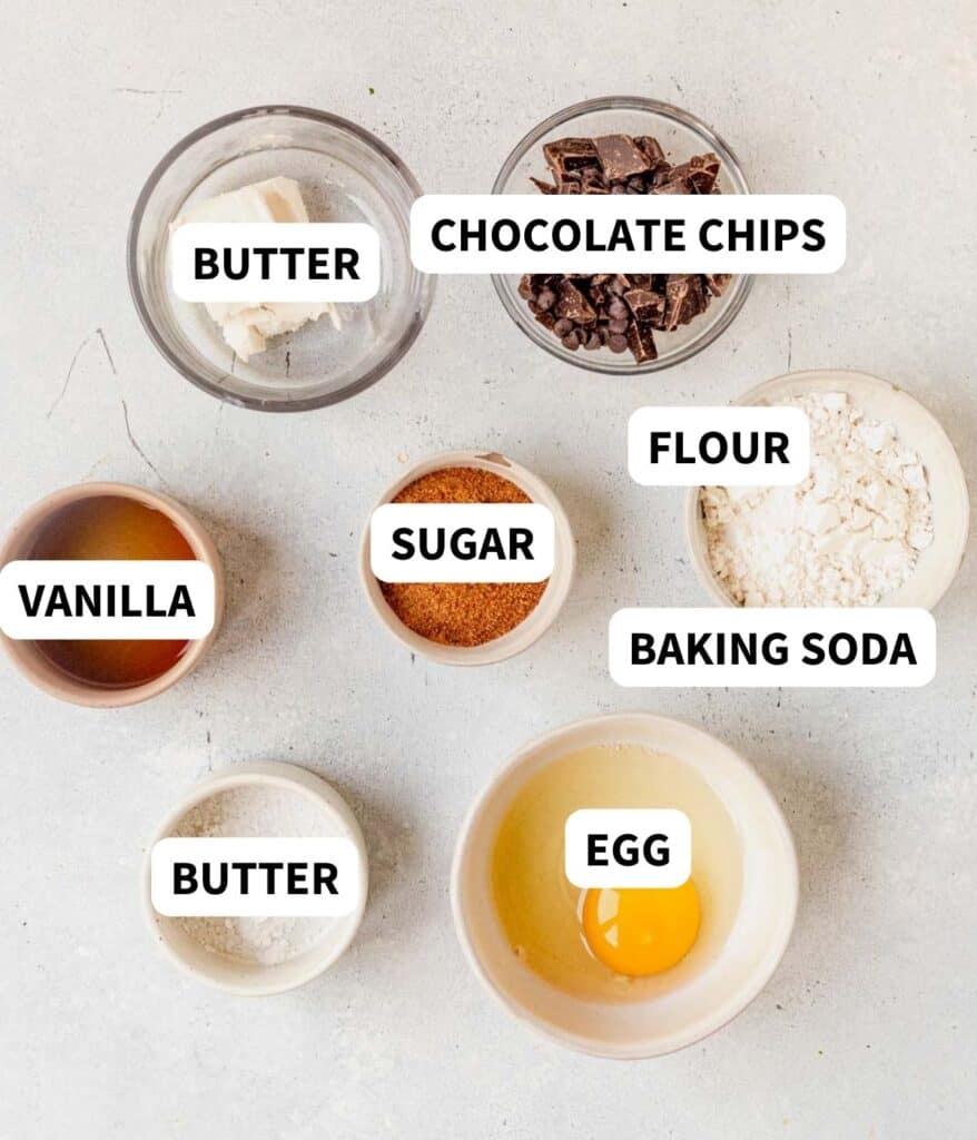 Easy Chocolate Chip Mug Cake in the Microwave